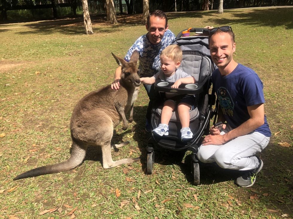 Gay couple withe their son petting a kangaroo