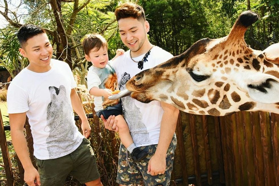 Couple with son feeding giraffe