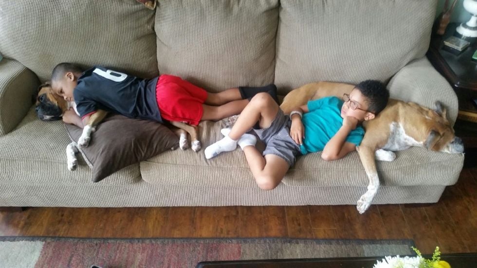 Two boys laying on a couch with their two dogs