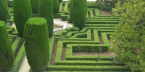 Photo of garden maze