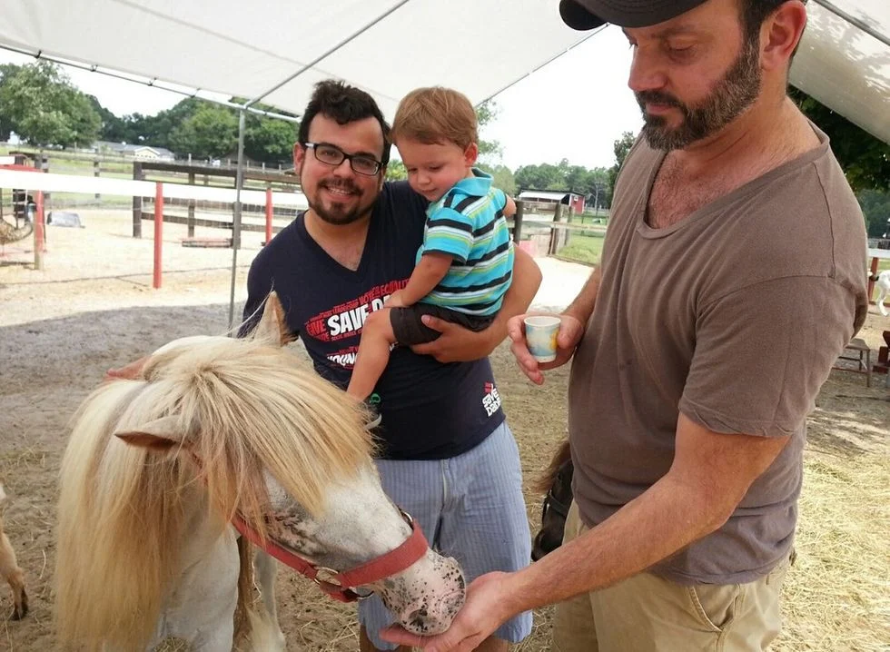 Two dads and their toddler son at a farm petting a minature pony